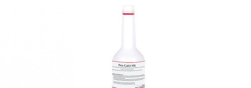 PRO-CALCI-VIT - Phòng và điều trị sốt sữa ở bò